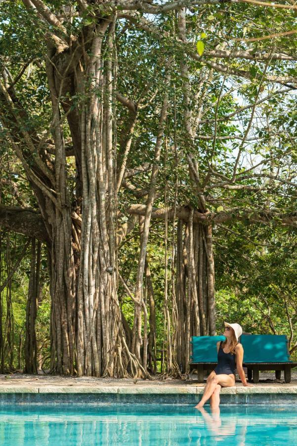 Kaav Safari Lodge, Kabini Begūr Eksteriør billede