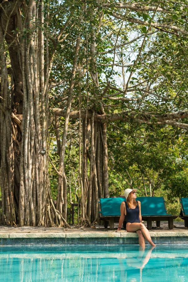Kaav Safari Lodge, Kabini Begūr Eksteriør billede