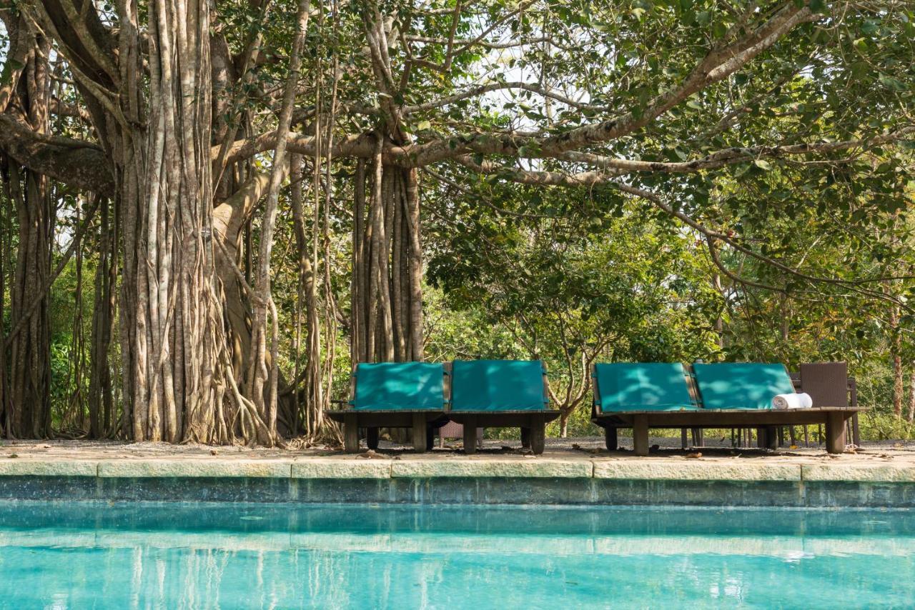 Kaav Safari Lodge, Kabini Begūr Eksteriør billede