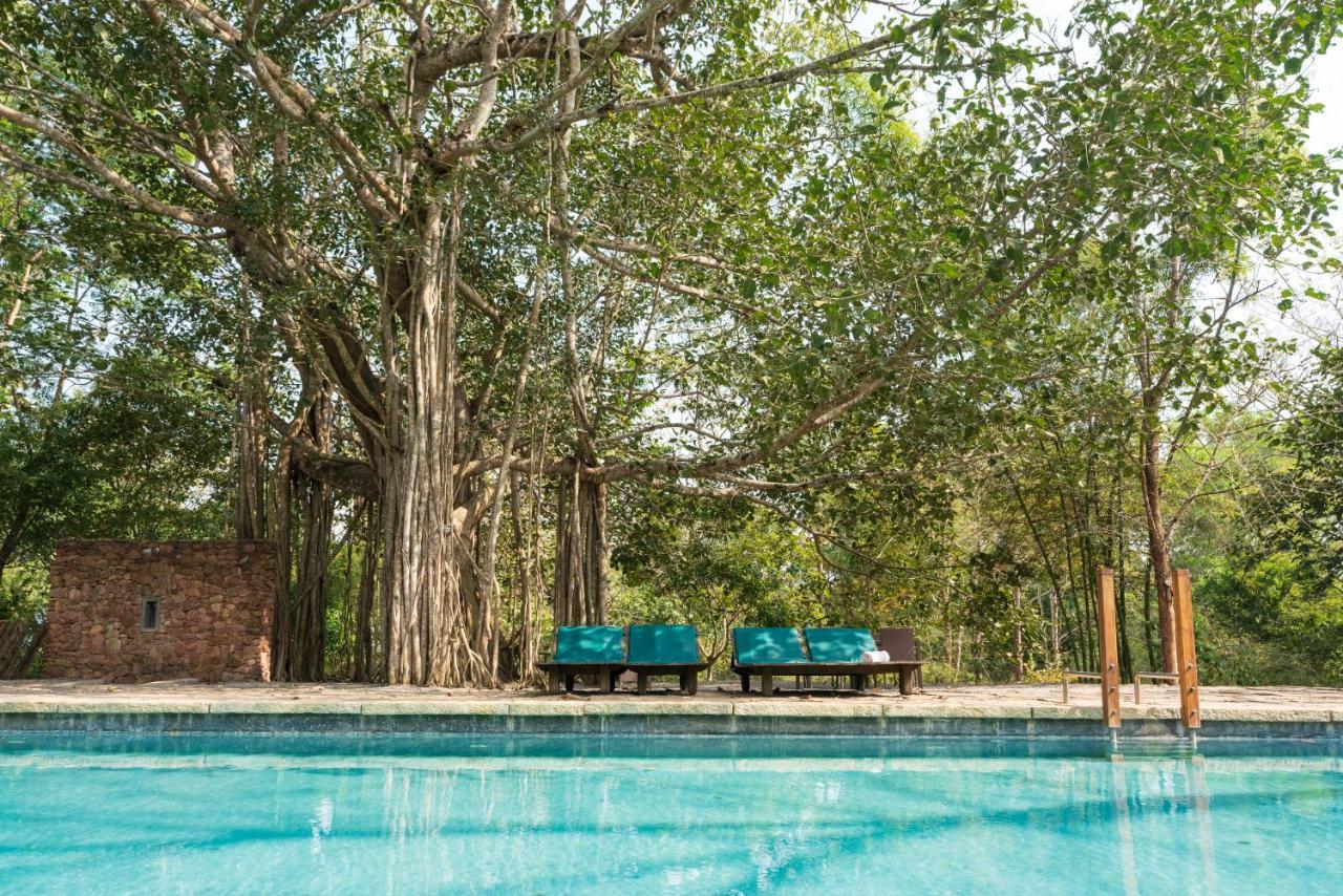 Kaav Safari Lodge, Kabini Begūr Eksteriør billede