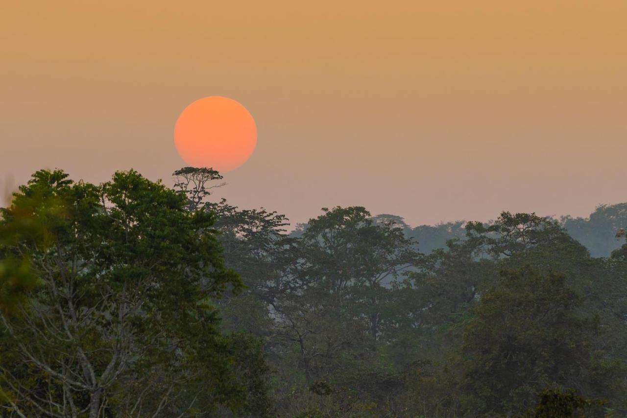 Kaav Safari Lodge, Kabini Begūr Eksteriør billede